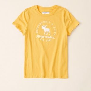 Abercrombie shine logo tee